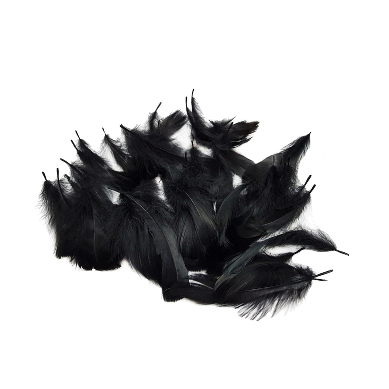 Black Feathers
