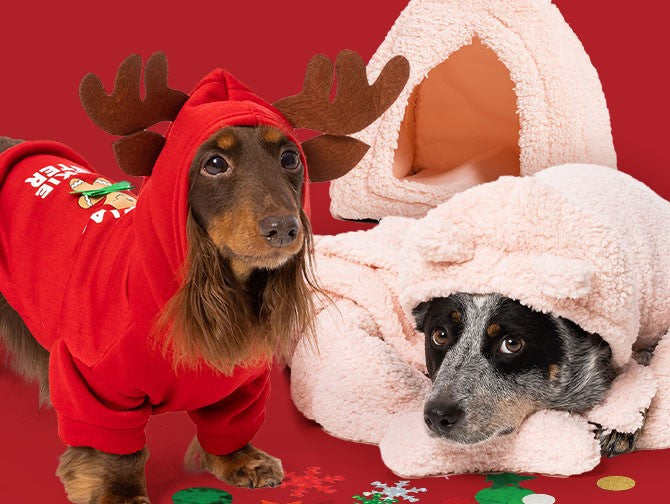 PET SUPPLIES