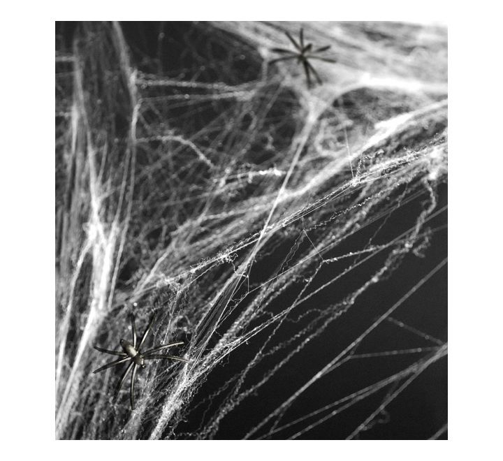 HALLOWEEN SPIDERWEB & SPIDERS