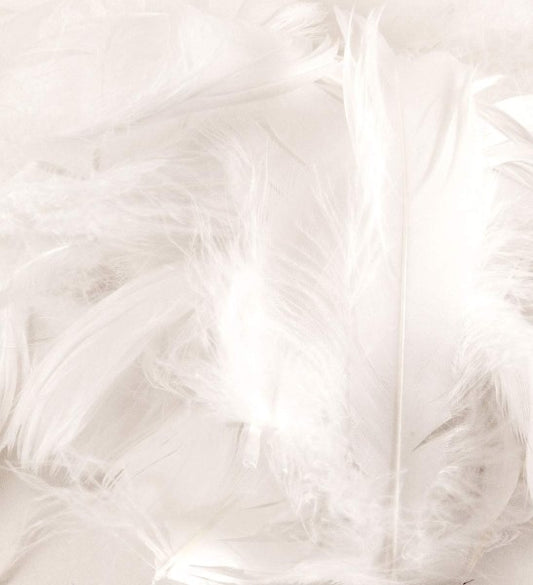 WHITE FEATHERS