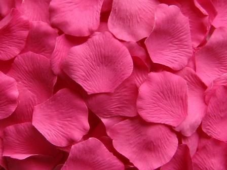 Fuschia Petals