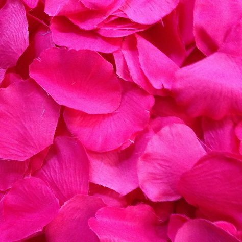 Boxed Pink Petals